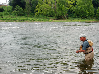 Smallmouth Bass Streams Fly Fishing Report - July 10, 2018