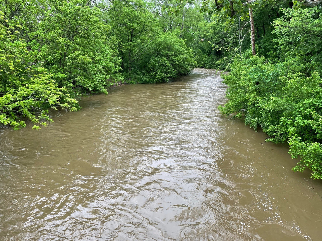 Smallmouth Bass Streams Fly Fishing Report - May 29, 2025