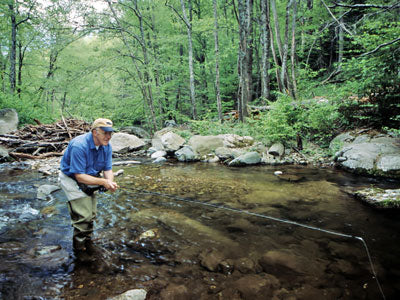 Mountain Trout Streams Fly Fishing Report - Update August 9, 2018