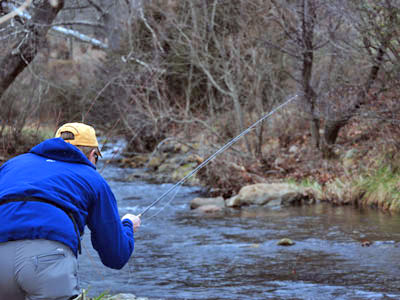 Mountain Trout Streams Fly Fishing Report - Update June 29, 2018