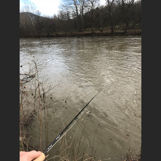 North Fork Shenandoah Rive near Edinburg, Virginia - Murray's Fly Shop