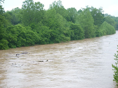 Smallmouth Bass Streams Fly Fishing Report - May 22, 2018