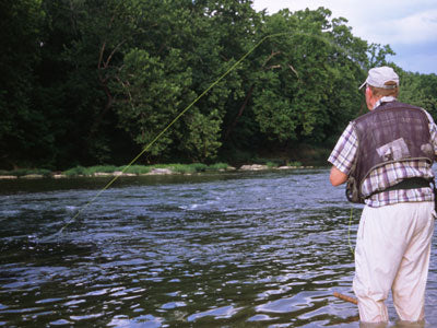 Smallmouth Bass Streams Fly Fishing Report -July 17, 2018