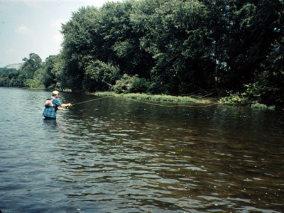 Smallmouth Bass Streams Fly Fishing Report - Update August 9, 2018