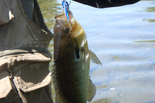 Smallmouth Bass Streams Fly Fishing Report - June 7, 2023