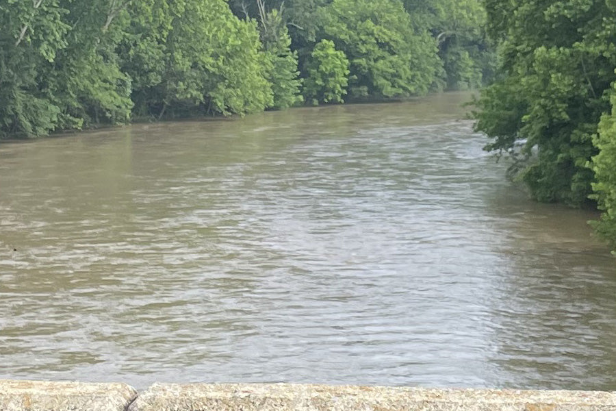 Smallmouth Bass Streams Fly Fishing Report - Update for June 21, 2025