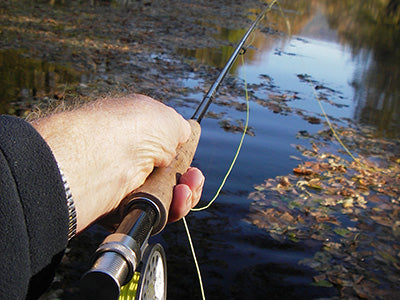 Smallmouth Bass Streams Fly Fishing Report - November 5, 2020