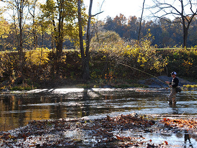 Smallmouth Bass Streams Fly Fishing Report - November 19, 2020