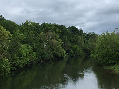 Smallmouth Bass Streams Fly Fishing Report - May 28, 2020