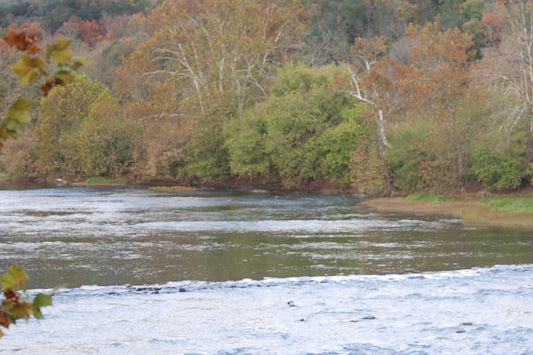 Smallmouth Bass Streams Fly Fishing Report - September 24, 2025