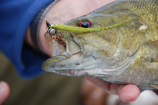 Smallmouth Bass Streams Fly Fishing Report -May 15, 2024