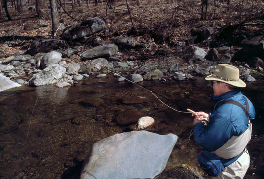 Mountain Trout Fly Fishing