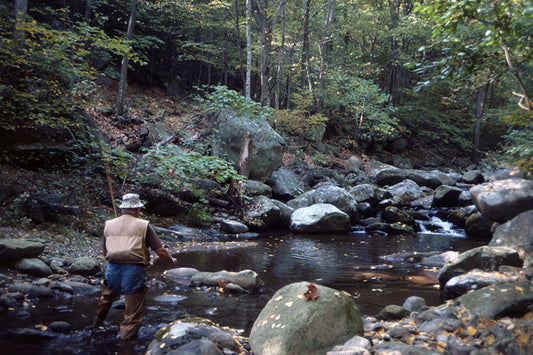 Mountain Trout Streams Fly Fishing Report- June 7, 2023