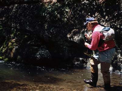 Mountain Trout Streams Fly Fishing Report - June 16, 2021