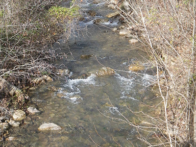 Mountain Trout Streams Fly Fishing Report - April 16, 2020