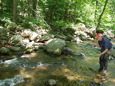 Mountain Trout Streams Fly Fishing Report - June 5, 2020