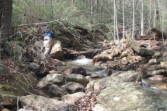 Mountain Trout Streams Fly Fishing Report - April 3, 2024
