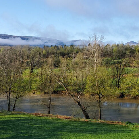 SMALLMOUTH BASS STREAMS FLY FISHING REPORT APRIL 11, 2021