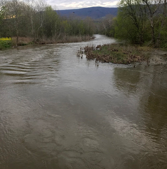 North Fork Shenandoah River Edinburg, Virginia - Murray's Fly Shop