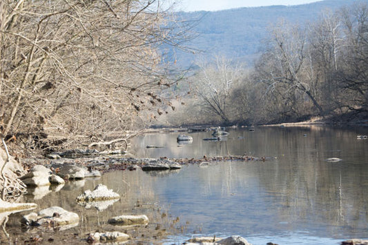 Smallmouth Bass Streams