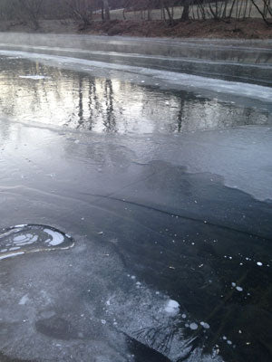 Frozen Smallmouth Bass Stream