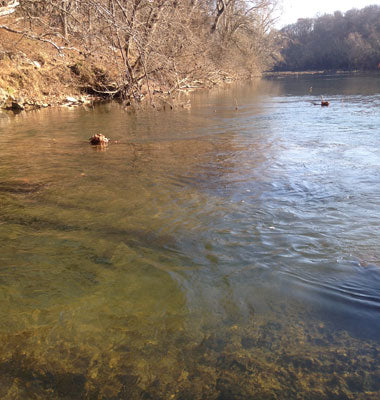 Smallmouth Bass Streams Fly Fishing Report- January 29, 2018