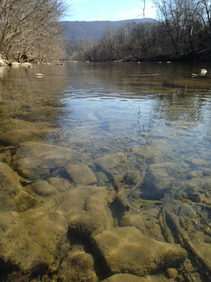 Smallmouth Bass Streams Fly Fishing Report- February 13, 2018