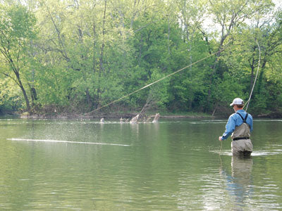 Smallmouth Bass Streams Fly Fishing Report - March 21, 2019