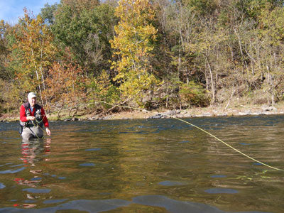 Smallmouth Bass Streams Fly Fishing Report - September 26, 2019