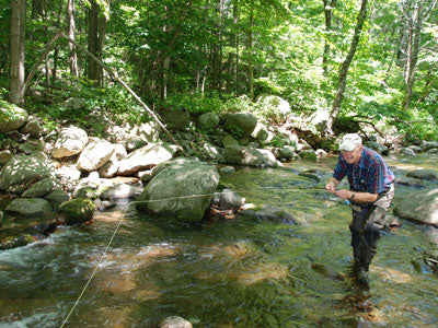 Mountain Trout Streams Fly Fishing Report - July 6, 2019