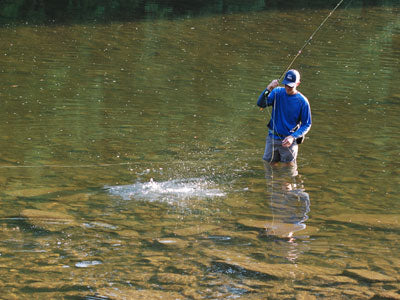 Stocked Trout Streams Fly Fishing Report - September 19, 2019