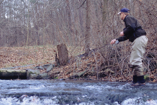 Trout Streams Fly Fishing Report - January 3, 2024