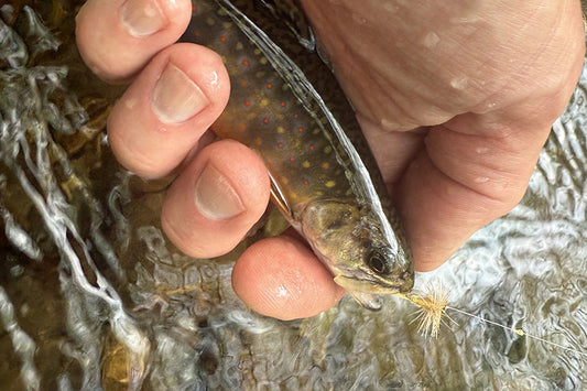 Mountain Trout Streams Fly Fishing Report - May 7, 2025