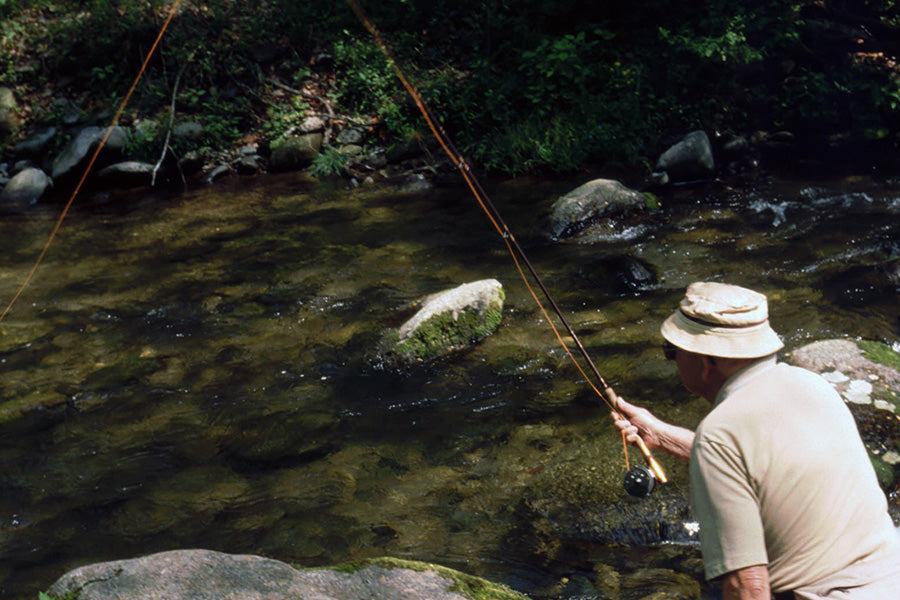 Trout Streams Fly Fishing Report - June 4, 2025
