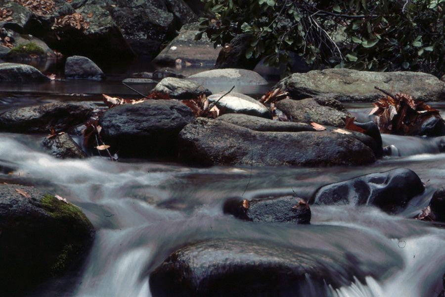Stocked Trout Streams Fly Fishing Report - October 16, 2025