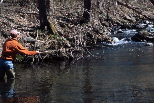 Trout Streams Fly Fishing Report - November 30, 2023