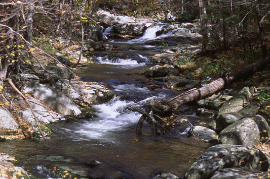 Trout Streams Fly Fishing Report - September 24, 2025