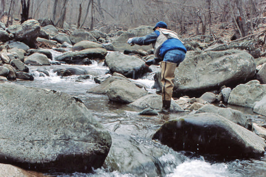 Trout Stream Fly Fishing Report - March 6, 2024