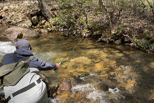 Trout Streams Fly Fishing Report - April 24, 2024