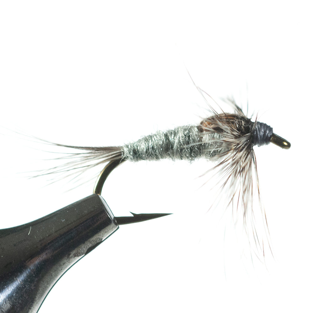 Murray's Adams Nymph Murray's Adams Nymph