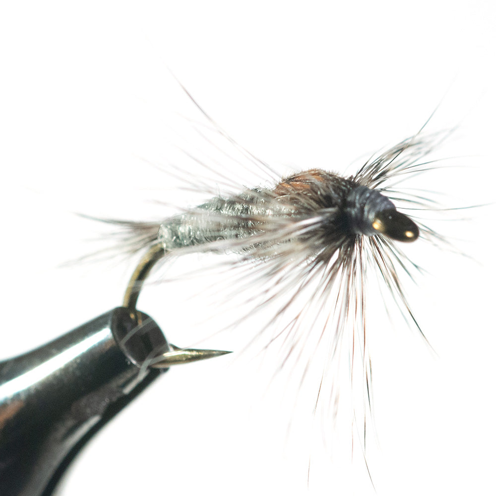 Murrays Adams Nymph shown on a white background in a vise