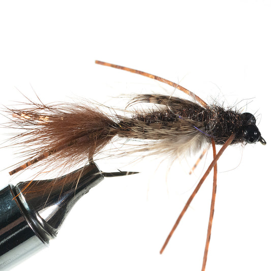 Shown is our Bass Caddis Nymph in a fly tying vise with a white background - Murray's Fly Shop Edinburg, VA 22824