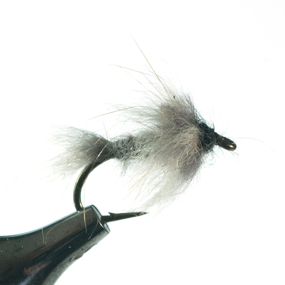 casual dress nymph Casual Dress Nymph Fly Tying Guide