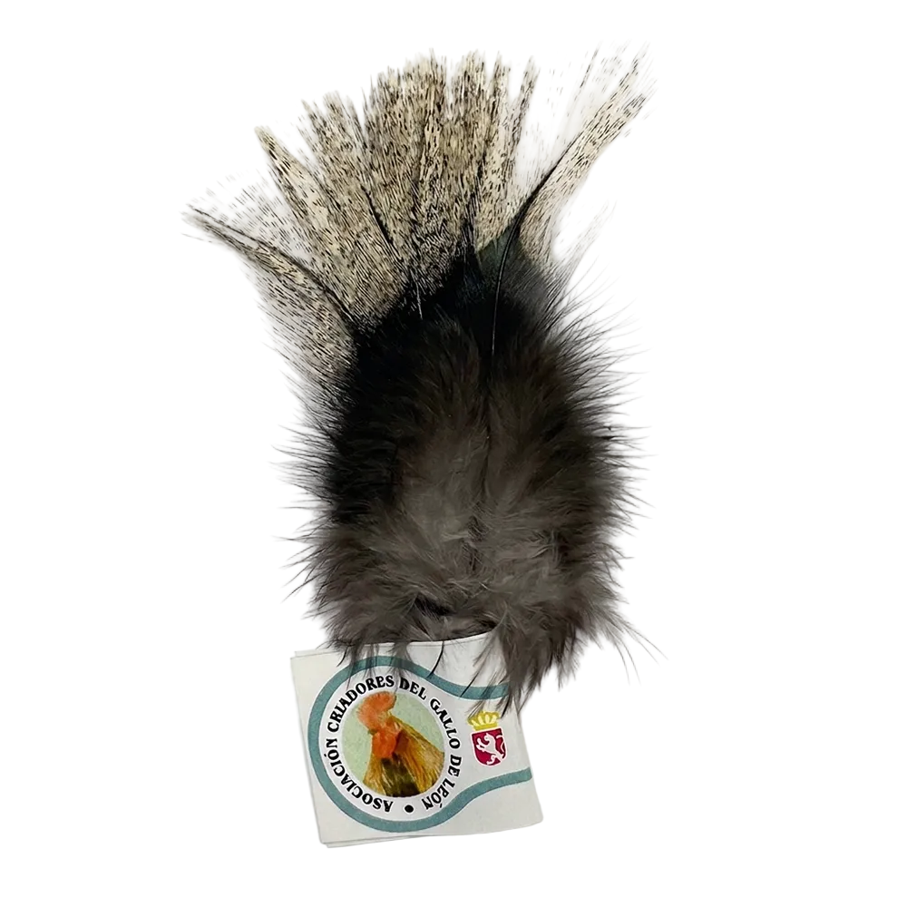 Coq De León fly tying feathers with natural speckled pattern used for dry fly and nymph tying in Light Speckled Pardo
