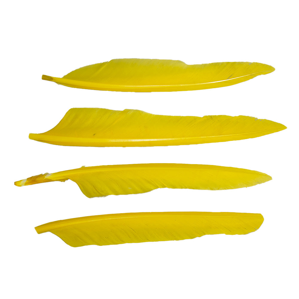 Duck Quill Yellow