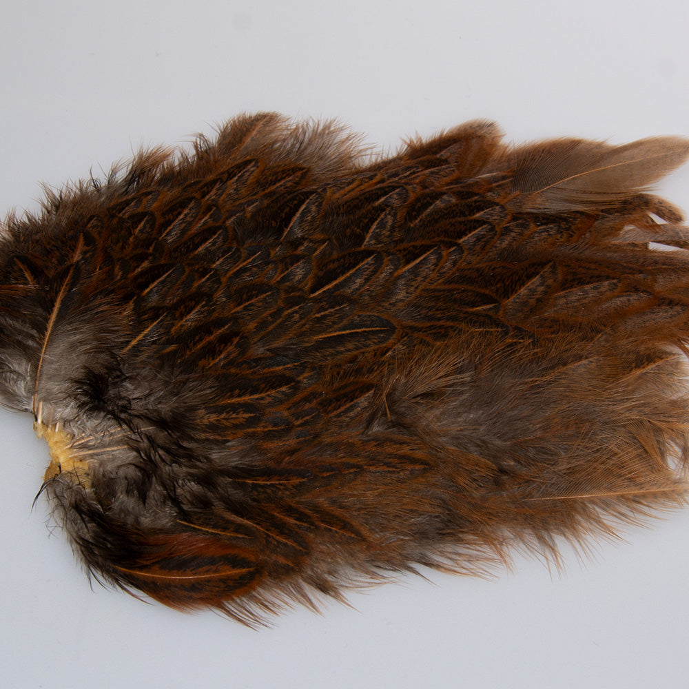 Indian Speckled Saddle Skin Hen Back