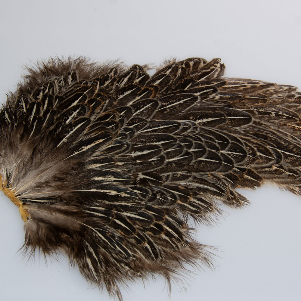 Indian Speckled Saddle Skin Hen Back