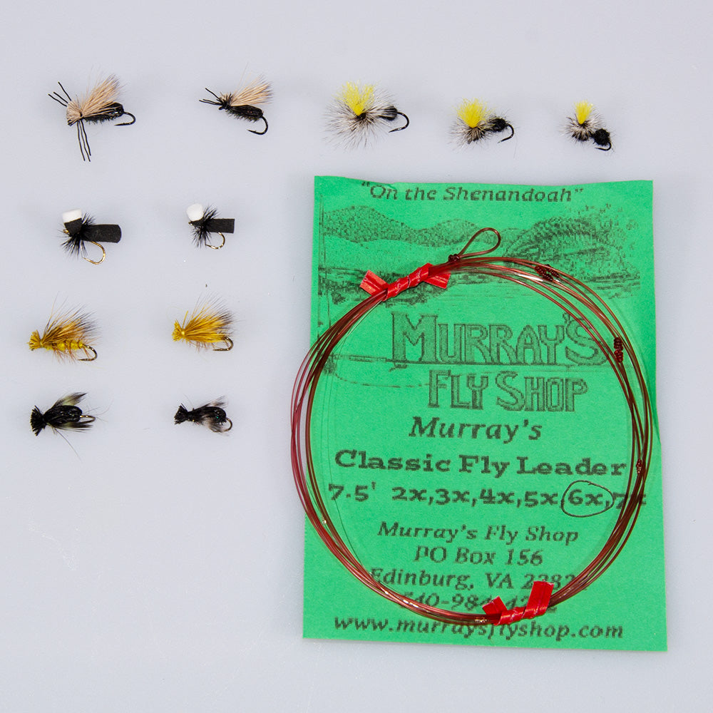 Assortment of 11 beetles, ants and terrestrial flies for summertime native brook trout fishing in July along with a Murray's Classic 7.5ft 6X leader