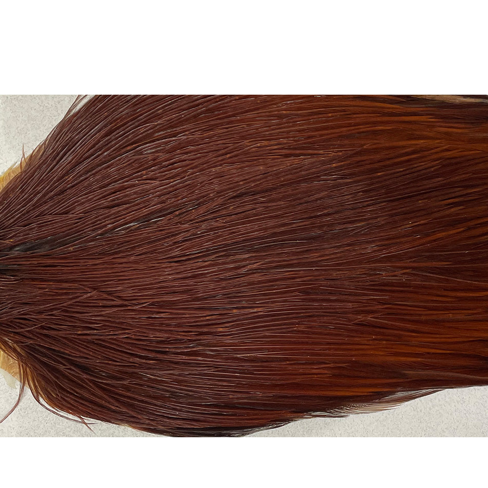Keough Tyer's Grade Cape in Brown — fly tying hackle