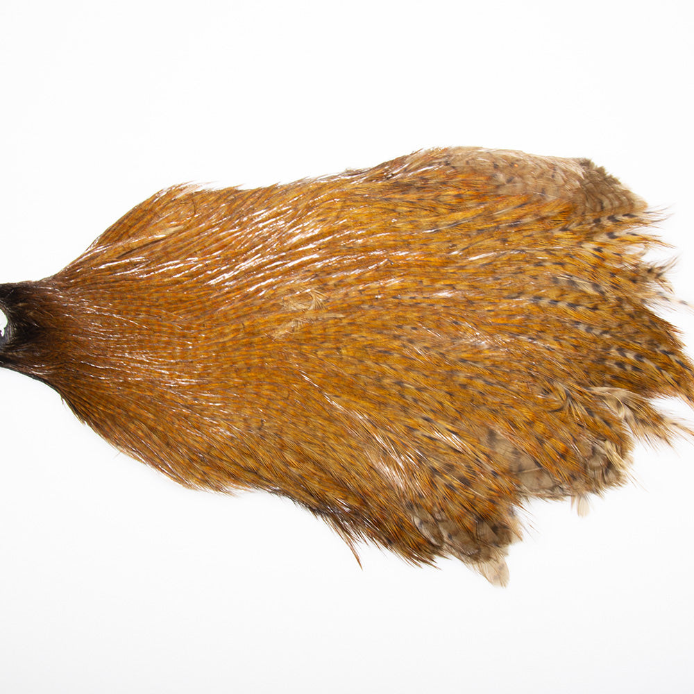 Magnum Streamer Neck Barred Ginger